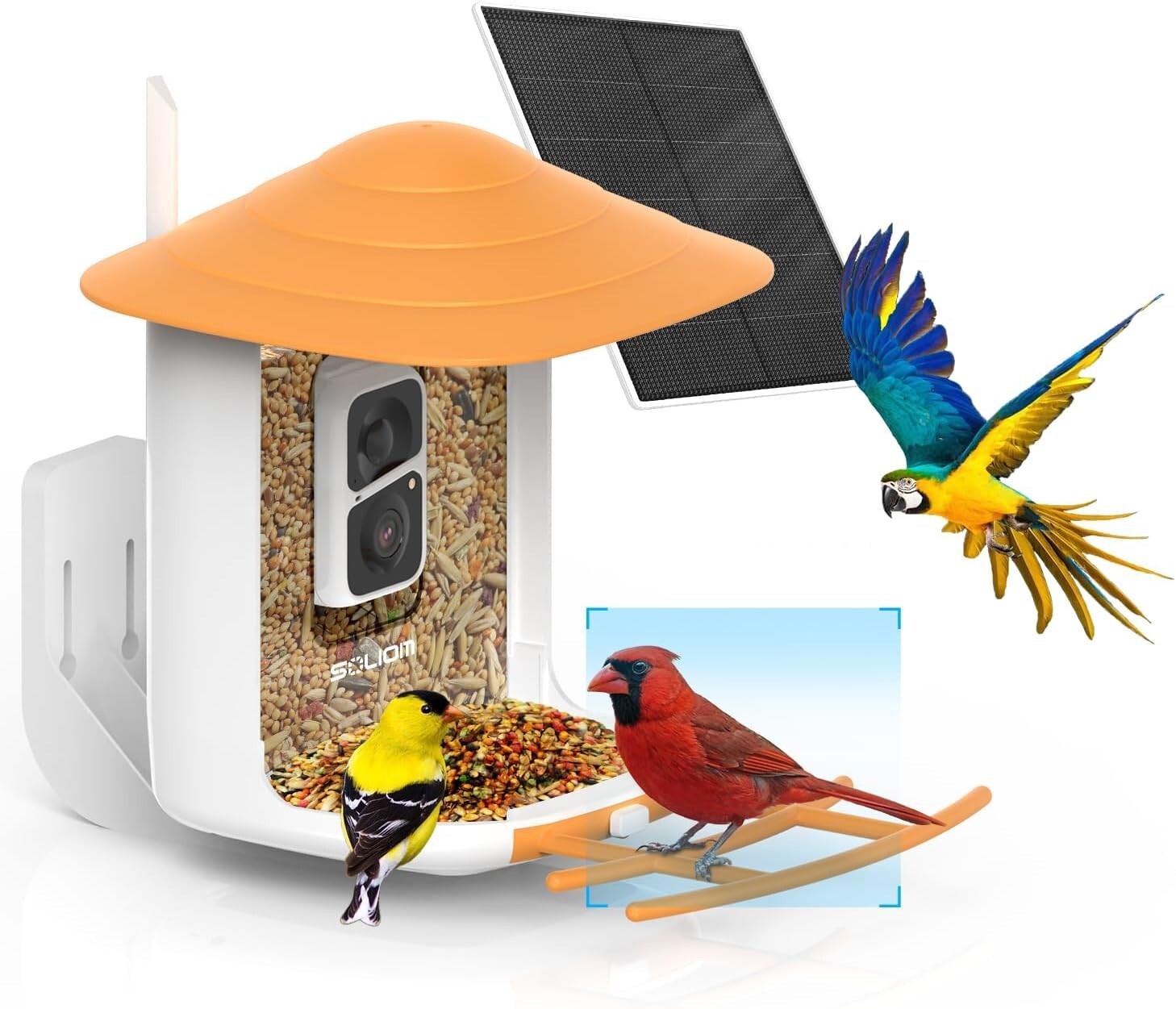 Smart Bird Feeder With Camera Solar Powered With AI Identify Species Night Visio