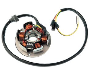 STATORE GENERATORE BETA 50 RR ENDURO 2003 03