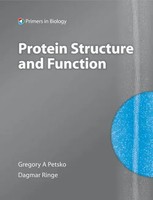Dagmar Ringe (U. A.) | Protein Structure And Function | Taschenbuch | Englisch