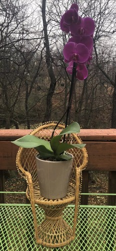 Mini Vtg Peacock Wicker Fan Back Rattan Doll Plant Stand Boho Chic Chair 15.5” - Picture 3 of 11