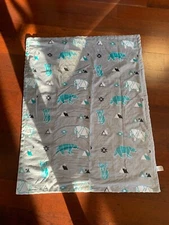 Boritar Baby Blanket Gray Aqua w Bears Elephants Mountains /White Minky Dot EUC
