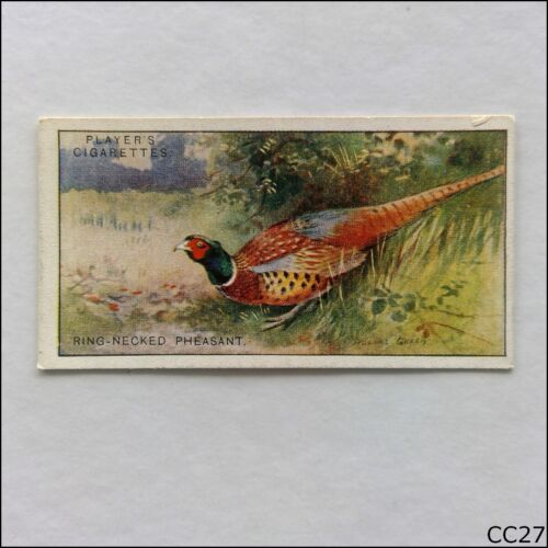 John Player Game Birds Wild Fowl #28 Ring Neck Pheasa 1927 Cigarette Card (CC27) - Foto 1 di 2