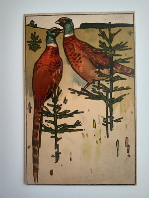 RINGNECK PHEASANT POSTCARD 1913 GAME BIRD HUNTING FOOD PUB IN GERMANY