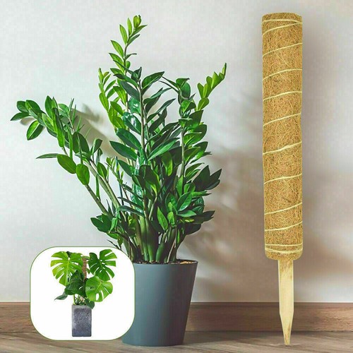 41Cm Moss Pole Plant support Coir Totem Plants Climbing Support with10 Ties - Picture 3 of 7
