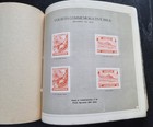 Foto 10 di 15
