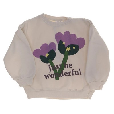 Zara, Sweatshirt, Größe: 98, Beige/Lila/Grün, Baumwolle/Polyester, Print #Lkq