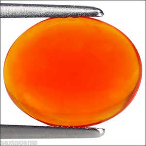 1.52 Ct Natural Ethiopian Orange Opal Gemstone Oval Cabochon Cut