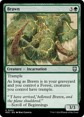 Brawn (Ripple Foil) [Modern Horizons 3 Commander] Foil Near Mint MTG