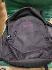 Dakine Insulated Cooler Pocket Laptop Sleeve Backpack Prom Pinstripe Design NWOT