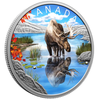 定価7万円 Carrs Sterling Silver 20x15cm 新品 🇨🇦 Canada $20 Dollar Pure Silver 99.99 Coin, Wildlife