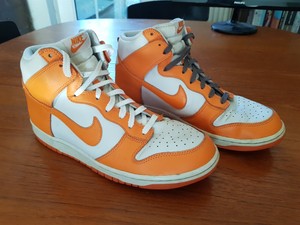nike dunk sb Scarpe
