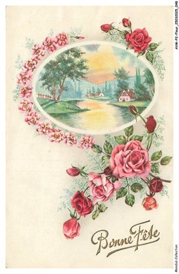 AVMP2-0114-FLEUR - Rosa