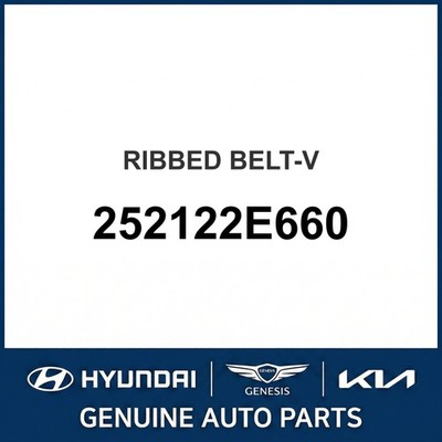 2016-2019 Hyundai Sonata Hybrid Ribbed Belt-V OEM New 252122E660