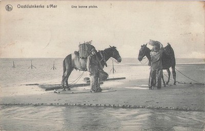 belgien oostduinkerke sur mer eine gute angeln 104681