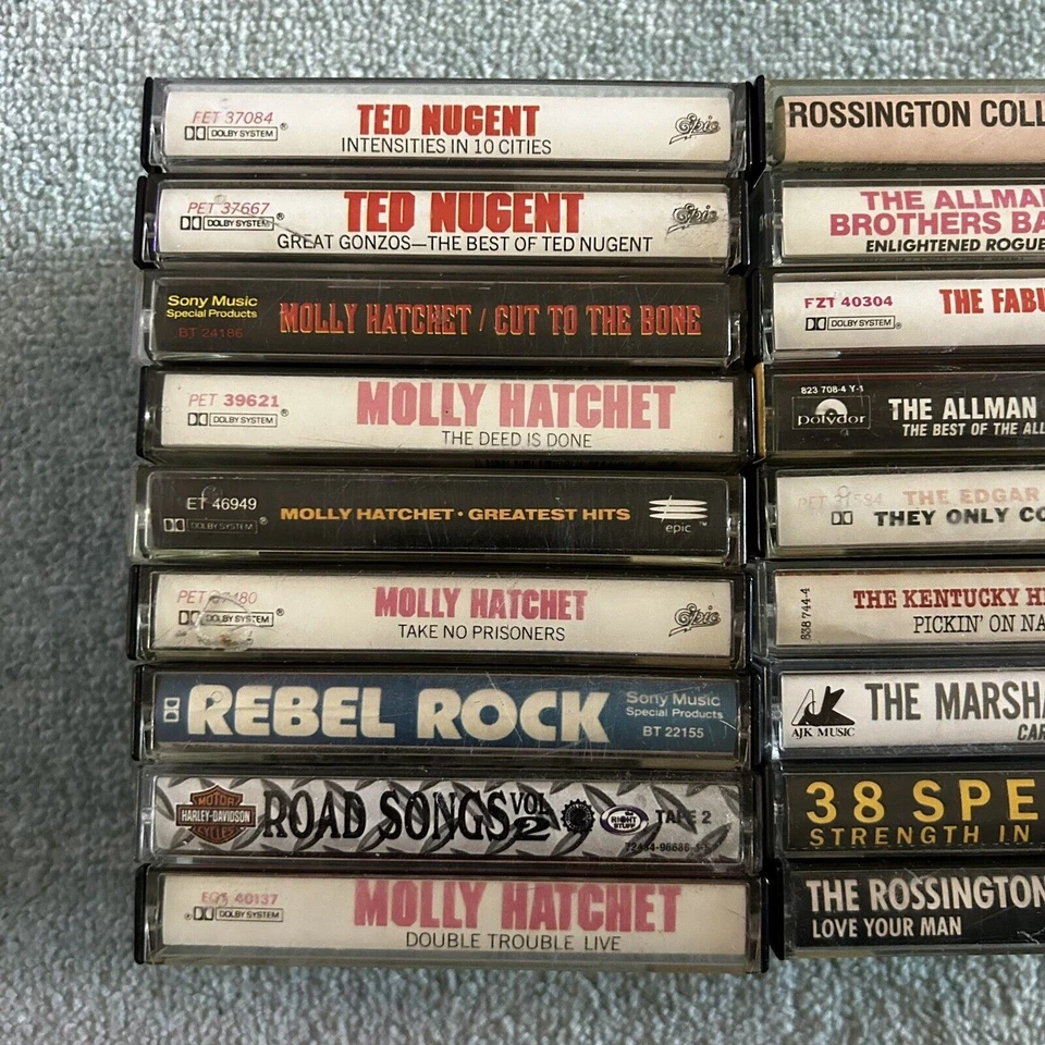 Cassette Tape Lot Ted Nugent Molly Hatchet Marshall Tucker Allman Bros Edgar Win Foto 3 de 4