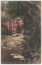 1910 Ukiah, California Trout Stream - Mendocino County Vintage Postcard 1910 Ukiah, California Trout Stream - Mendocino County Vintage Postcard
