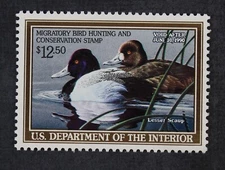 CKStamps : US Stamps Scott #RW56 $12.5 Duck Mint NH OG 1989 $21.5