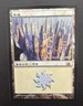 MTG JAPANESE FOIL PROMO DCI PLAINS NM DRAGON'S MAZE PRERELEASE LAND MAGIC