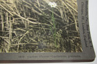 Keystone View Co. Stereoview Photo Cuckoo-Flower Flower Mustard Family — photo 5