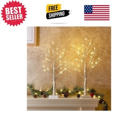 Stylish 2FT Birch Trees with Timed Warm LED Lights - Perfect Holiday Centerpiece