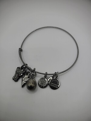 Vintage Alex and Ani Womens Silver Tone Bracelet Charms Egg Arrowhead  Jewelry - Main Image