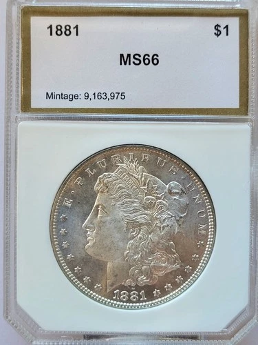 1881-P  PCI MS-66 Brilliant Lustrous Morgan Silver Dollar. #204. New lower Price