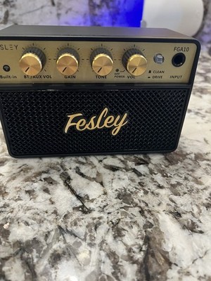 Fesley FGA10 Bluetooth Guitar Amplifier with Tone and Gain Controls