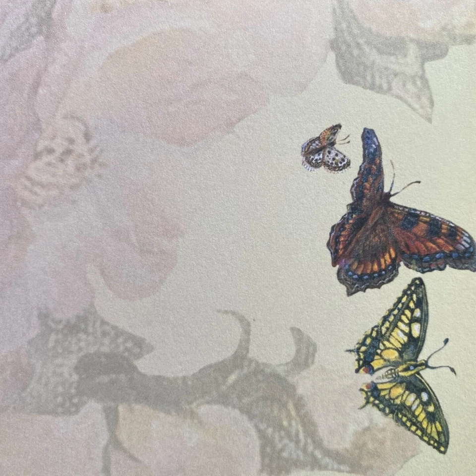 HTF Josephine Wall Blank Card ENCHANTED FLUTE Music Shell Butterfly Vintage NLA - Image 4 of 4