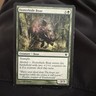 Festerhide Boar - Medium Play English MTG Duel Decks: Jace vs Vraska