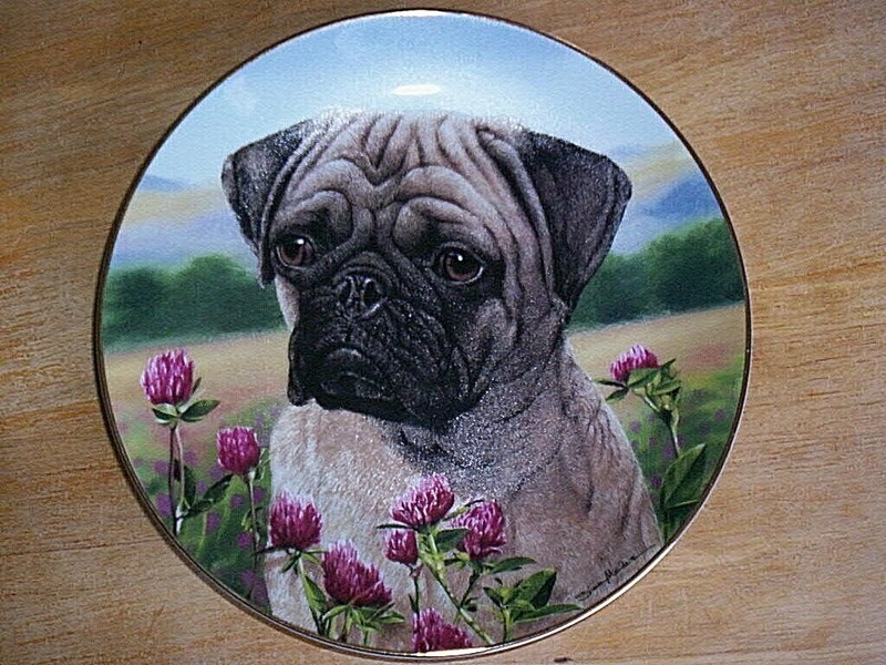 Retired Danbury Mint  Pug Limit Edition  Plate PRAIRIE PUG  by Simon Mendez