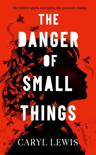 The Danger of Small Things by Caryl Lewis Hardback