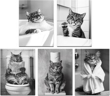 Funny Cat Wall Art set of 5 Black and White Animal Bathroom Poster Canvas Pri...