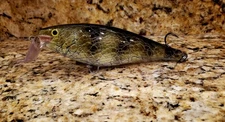 Custom Painted Rapala Super Shad Rap SSR-14