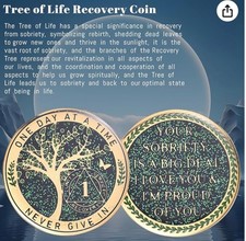 LParkin 24 Hours, 1 YearSobriety Chip, Tree of Life Recovery Coin, AA Recovery
