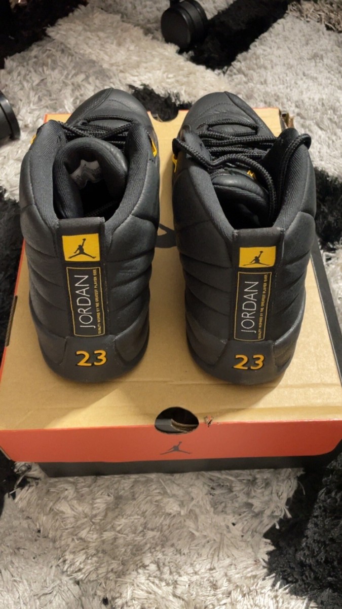 Air Jordan 12 Retro Black Taxi - Size 12 - CT8013-071  display picture 3