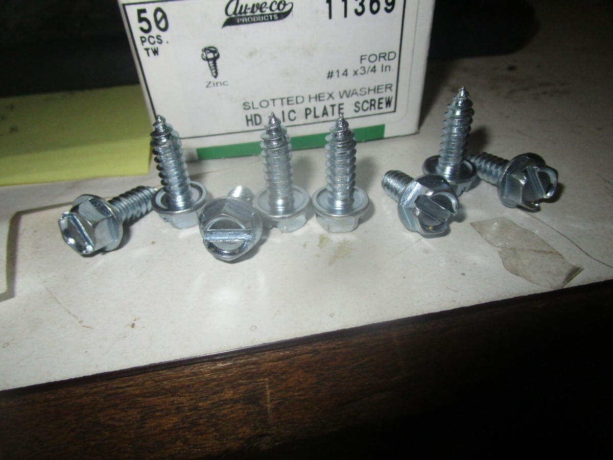 Everbilt 1/4 In. X 3/4 In. Slotted Stainless-Steel Truss Head License Plate Bolt-Universal 2 Piece Per Bag 834018 - Foto 1