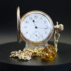 Antique Waltham 17J  Gold Filled Full Hunter Pocket Watch with Chain + Case