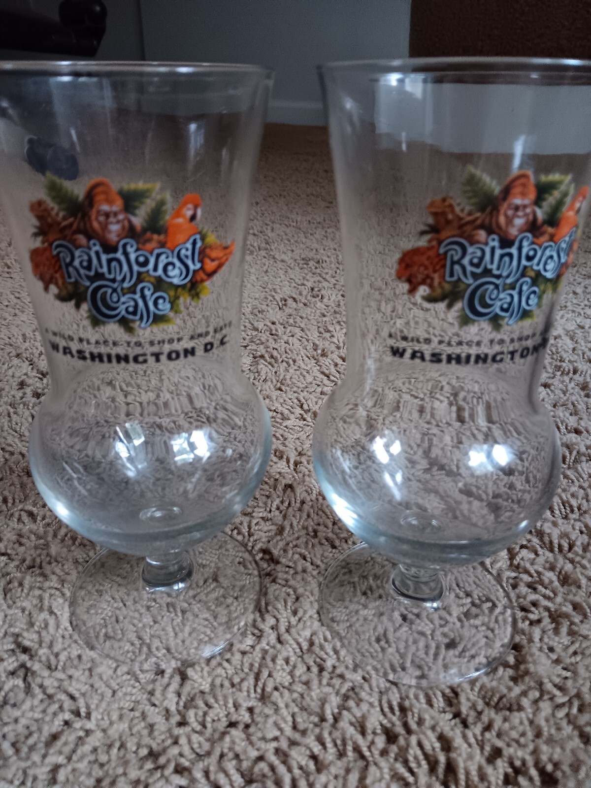 Set of 2 Rainforest Cafe Hurricane Glass Collectible Washington DC eBay