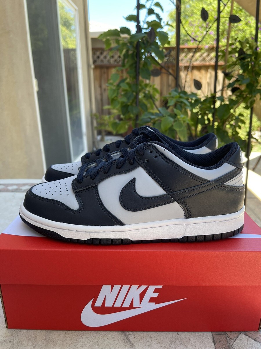 Nike Dunk Low (GS) Georgetown CW1590-004 Size Women's