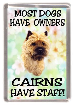 Cairn Terrier Hund Kühlschrankmagnet ''Die meisten Hunde ......Cairns haben Personal!'' - Starprint