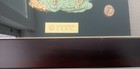GOAT "Greatest of all Time!"  Shadowbox Gold Goats CTS Glaze KOREA GENERAL BANK — photo 8