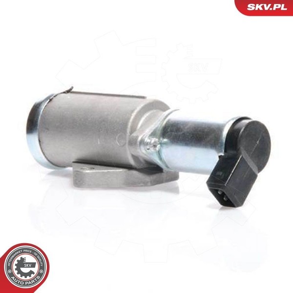 Esen SKV Leerlaufregelventil, Luftversorgung 08SKV219 FüR Ford Renault-image