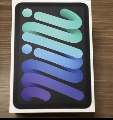 Apple iPad Mini 6th Gen 64GB WiFi Space Gray Excellent Condition w/ Box