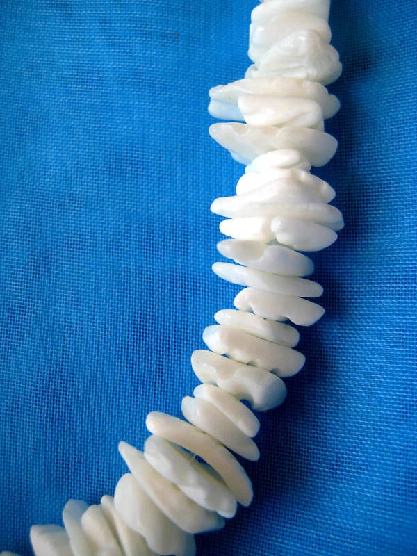 Puka shells bulk sale