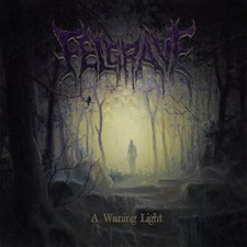 FELGRAVE - A Waning Light CD