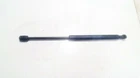 Rear window gas strut
