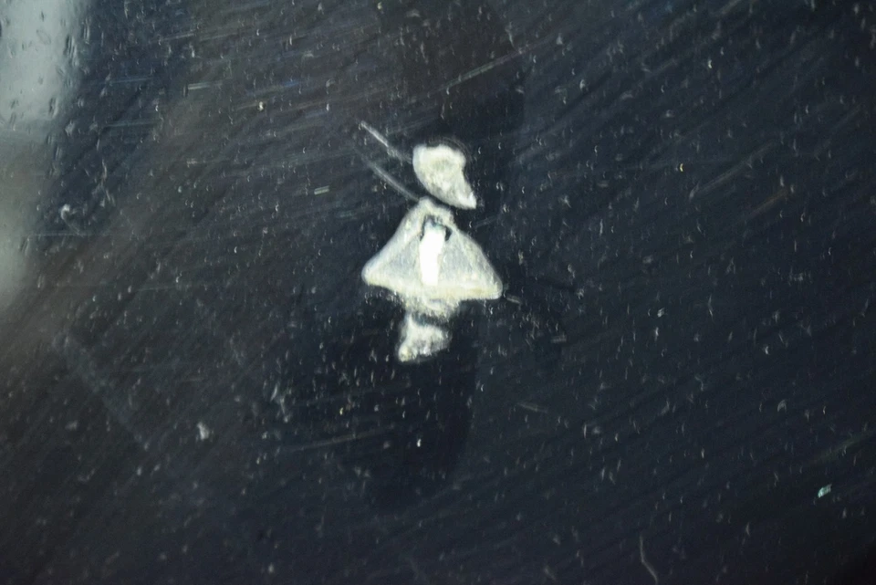 2006 2007 2008 2009 2010 2011 2012 Porsche 911 Carrera Hood  Foto 4 de 4