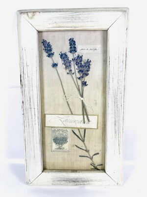 Vintage Framed Pressed Botanical Herbarium Plate Lavender 