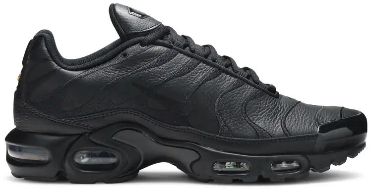 Nike Air Max Plus TN Triple Black for Sale | Authenticity