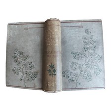 Flowers of the Field Victorian Botanical Guide Rev C.A. Johns 1882 19th Ed